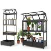 Vertical Greenhouse PACE Polycarbonate 62H-1