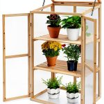 Panda Eye 2-Door Cedar Wood Greenhouse-0