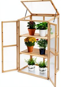 Panda Eye 2-Door Cedar Wood Greenhouse-0