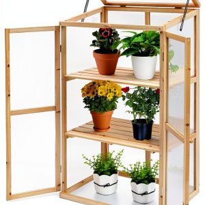 Panda Eye 2-Door Cedar Wood Greenhouse-0