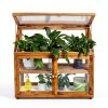 Greenhouse Cold Frame Beipoo BPG5004 Transparent PVC Adjustable Roof-1