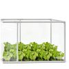 Warmfarm Mini Greenhouse PVC Portable Plant Protector 35x17.8x17.8in-1
