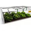 BioStar 1500 Premium Cold Frame-6