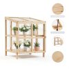 Foldable Wooden Cold Frame Greenhouse, 2-Tier Mini Greenhouse with Shelves, Planter Box for Herbs, Succulents & Seed Starting, Extend Your Growing Season for Patio & Garden-2